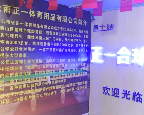 ��˾����